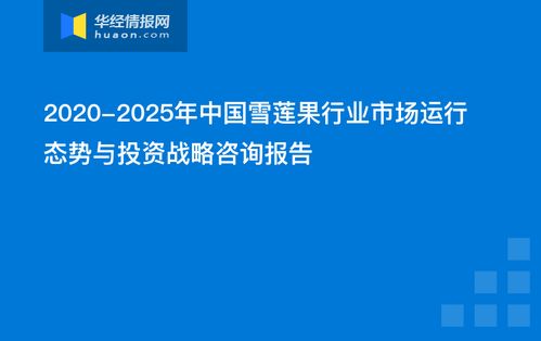 中國雪蓮果行業市場運行態勢與投資戰略咨詢報告