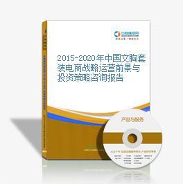 2016-2020年中國文胸套裝電商戰略運營前景與投資策略咨詢